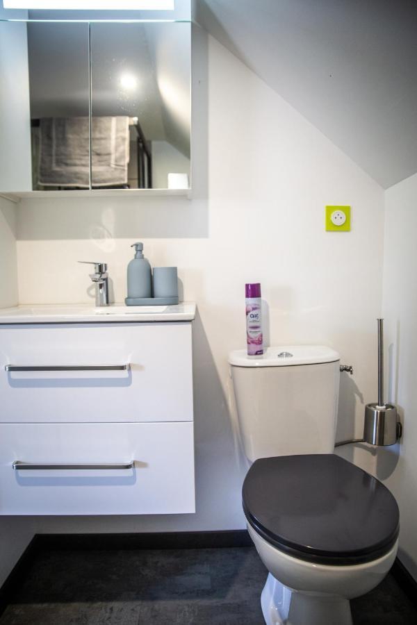 Bienvenue Dans Le Chartreuse 2 A 6 Couchages Apartment Cholonge Екстериор снимка